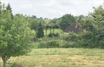 Eladó Zalaegerszegi lakóövezeti telek hirdetés (43328419)