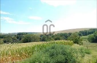 Eladó Tilaji lakóövezeti telek hirdetés (77327143)