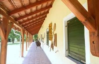 Eladó Oszkói családi ház hirdetés (75482466)