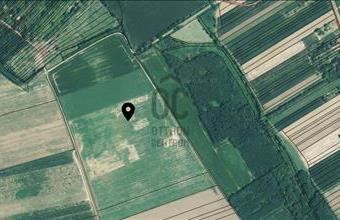 Eladó Petőmihályfai egyéb mezőgazdasági ingatlan hirdetés (92798457)