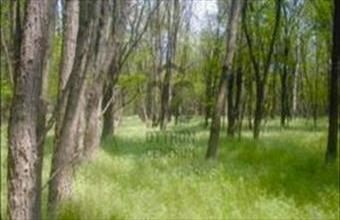 Eladó Andrásfai egyéb mezőgazdasági ingatlan hirdetés (63794539)