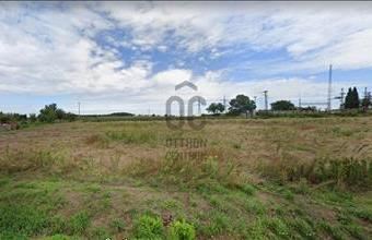 Eladó Zalaegerszegi egyéb mezőgazdasági ingatlan hirdetés (36519584)