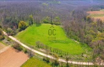 Eladó Kávási külterületi telek hirdetés (77472319)