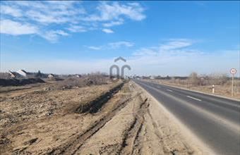 Eladó Vecsési külterületi telek hirdetés (58633347)