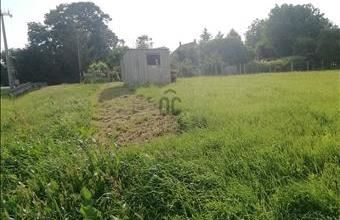 Eladó Birjáni lakóövezeti telek hirdetés (82592245)