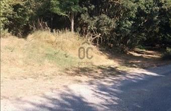 Eladó Szentbékkállai egyéb mezőgazdasági ingatlan hirdetés (39563494)