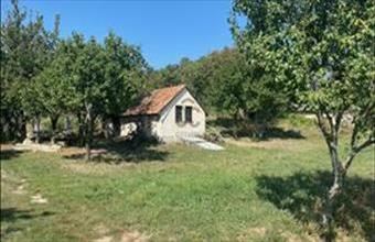 Eladó Balatonszőlősi egyéb mezőgazdasági ingatlan hirdetés (23394424)