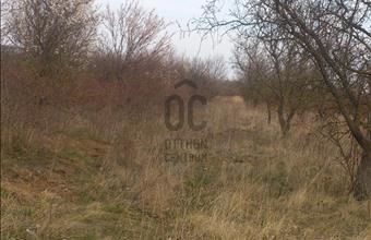 Eladó Balatonalmádi egyéb mezőgazdasági ingatlan hirdetés (42747178)