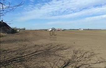 Eladó Sárosdi lakóövezeti telek hirdetés (33896623)