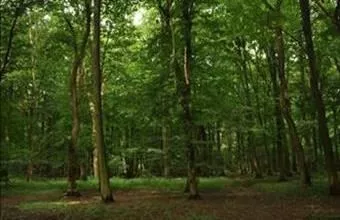 Eladó Fehérgyarmati egyéb mezőgazdasági ingatlan hirdetés (24795742)