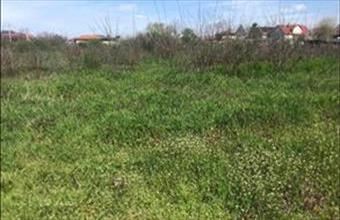 Eladó Vásárosnaményi lakóövezeti telek hirdetés (33548937)