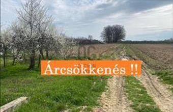 Eladó Lónyai egyéb mezőgazdasági ingatlan hirdetés (33735694)