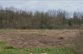 Eladó Ajkai lakóövezeti telek hirdetés (24128876)