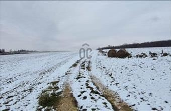 Eladó Ajkai lakóövezeti telek hirdetés (36443465)