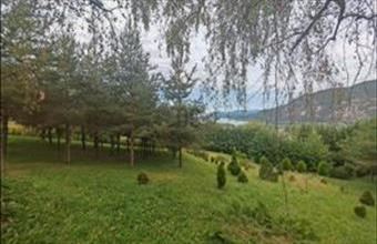 Eladó Dömösi üdülőövezeti telek hirdetés (74639334)
