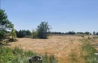 Eladó Gárdonyi egyéb mezőgazdasági ingatlan hirdetés (69889566)