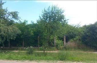 Eladó Egyeki lakóövezeti telek hirdetés (47396413)