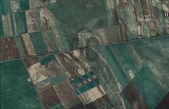 Eladó Egyeki külterületi telek hirdetés (52646927)