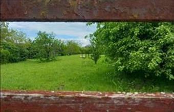 Eladó Egyeki lakóövezeti telek hirdetés (28943487)