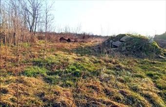 Eladó Tiszafüredi családi ház hirdetés (38213288)