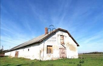 Eladó Egyeki tanya hirdetés (38798744)