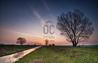 Eladó Tiszaszentimrei egyéb mezőgazdasági ingatlan hirdetés (15846135)