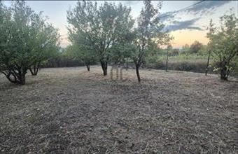 Eladó Váli külterületi telek hirdetés (73144547)