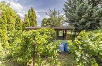 Eladó Székesfehérvári külterületi telek hirdetés (37686454)