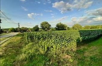 Eladó Váli lakóövezeti telek hirdetés (43743953)