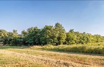 Eladó Lovasberényi egyéb mezőgazdasági ingatlan hirdetés (49775845)