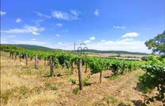 Eladó Szentjakabfai külterületi telek hirdetés (85531753)