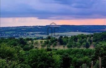 Eladó Szentgyörgyvári külterületi telek hirdetés (39883577)