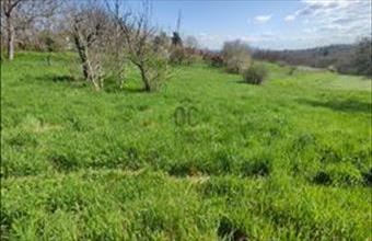 Eladó Felsőpáhoki hétvégi ház hirdetés (49677447)