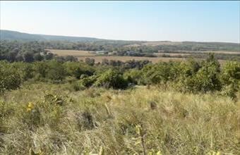 Eladó Kötcsei külterületi telek hirdetés (29947331)