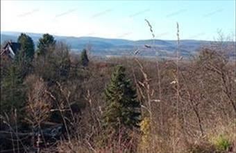 Eladó Zebegényi lakóövezeti telek hirdetés (99197831)