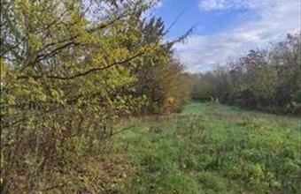 Eladó Balatonszárszói üdülőövezeti telek hirdetés (87245764)