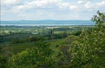 Eladó Kötcsei külterületi telek hirdetés (53971415)