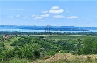 Eladó Kőröshegyi külterületi telek hirdetés (25449289)