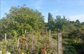 Eladó Monori egyéb mezőgazdasági ingatlan hirdetés (55233954)