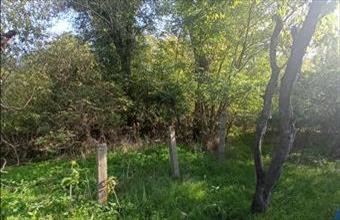 Eladó Monori egyéb mezőgazdasági ingatlan hirdetés (55233954)