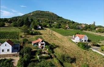 Eladó Hegymagasi hétvégi ház hirdetés (41499543)