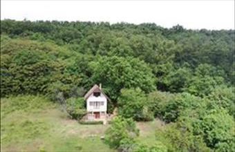 Eladó Balatonszepezdi hétvégi ház hirdetés (33776447)