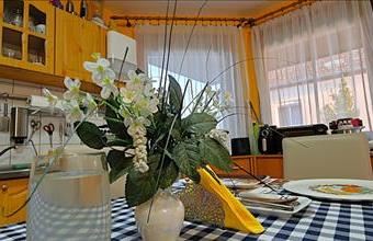 Eladó Szigethalomi sorház hirdetés (64743838)