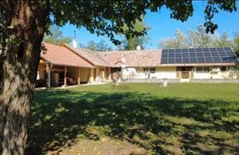 Eladó Orgoványi tanya hirdetés (74142933)