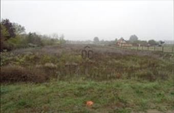 Eladó Kecskeméti külterületi telek hirdetés (93554563)