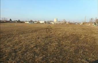 Eladó Kecskeméti külterületi telek hirdetés (61987831)