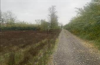 Eladó Táborfalvai külterületi telek hirdetés (19419329)