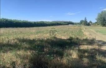 Eladó Kecskeméti lakóövezeti telek hirdetés (93728775)