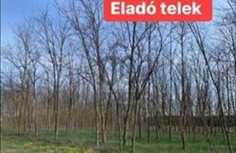 Eladó Kecskeméti lakóövezeti telek hirdetés (14545942)