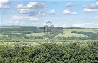 Eladó Zalacsányi lakóövezeti telek hirdetés (74577449)